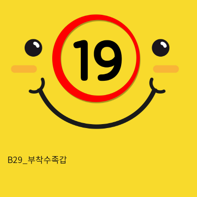 B29_부착수족갑