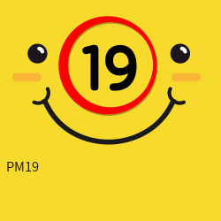 PM19